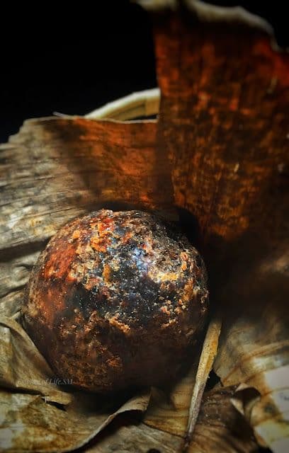 Traditional palm jaggery